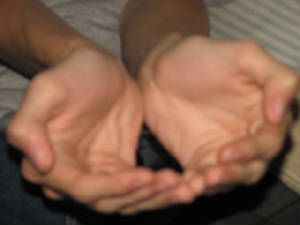 img_0732.jpg